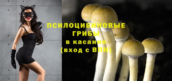 прущая мука Богородицк