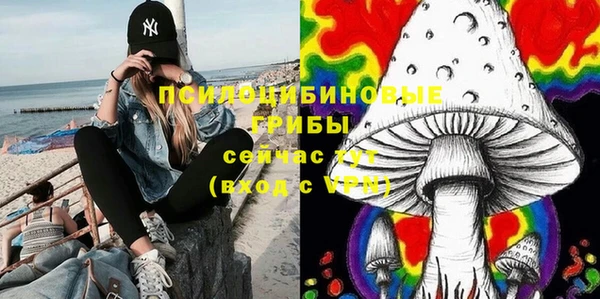 амфетамин Богданович