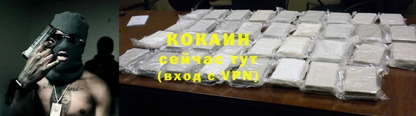 спиды Сосновка