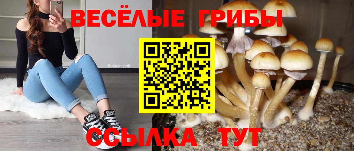 Псилоцибиновые грибы Cubensis Видное